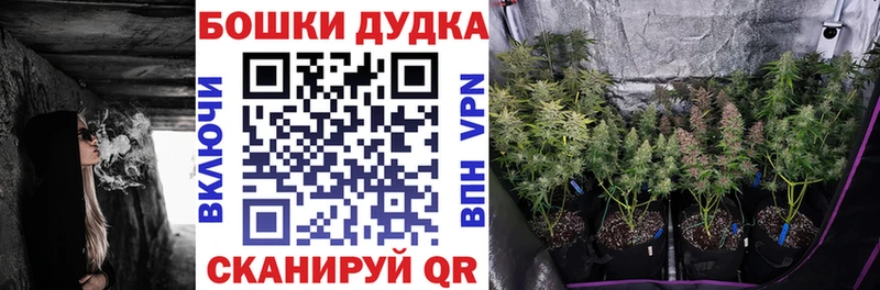 Купить наркотики сайты Терек Конопля  Псилоцибиновые грибы  hydra ТОР  Кокаин  ГАШ 