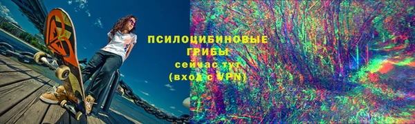 МДПВ Осинники