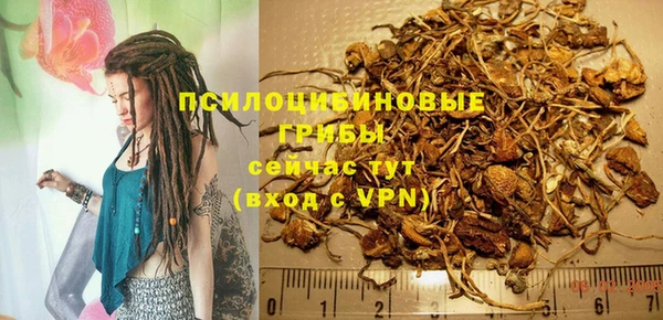 мяу мяу мука Осташков