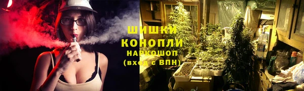 МДПВ Осинники