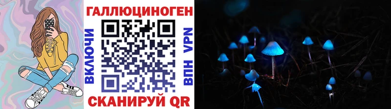 Галлюциногенные грибы MAGIC MUSHROOMS хочу Терек