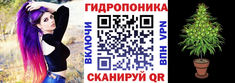 Бошки марихуана LSD WEED сколько стоит Терек